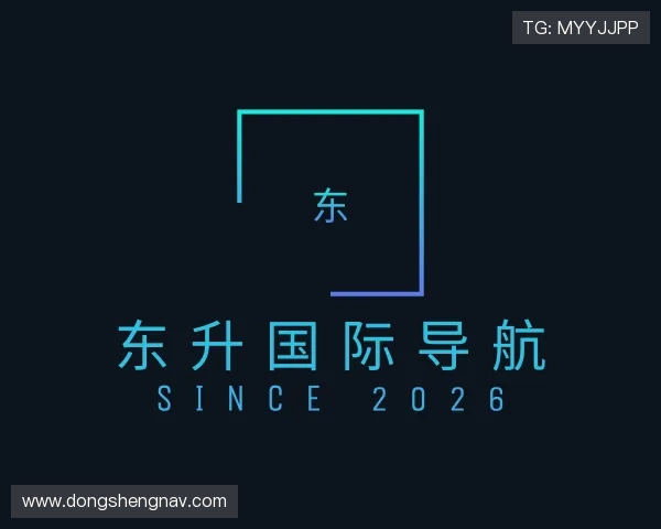 认识东升国际导航